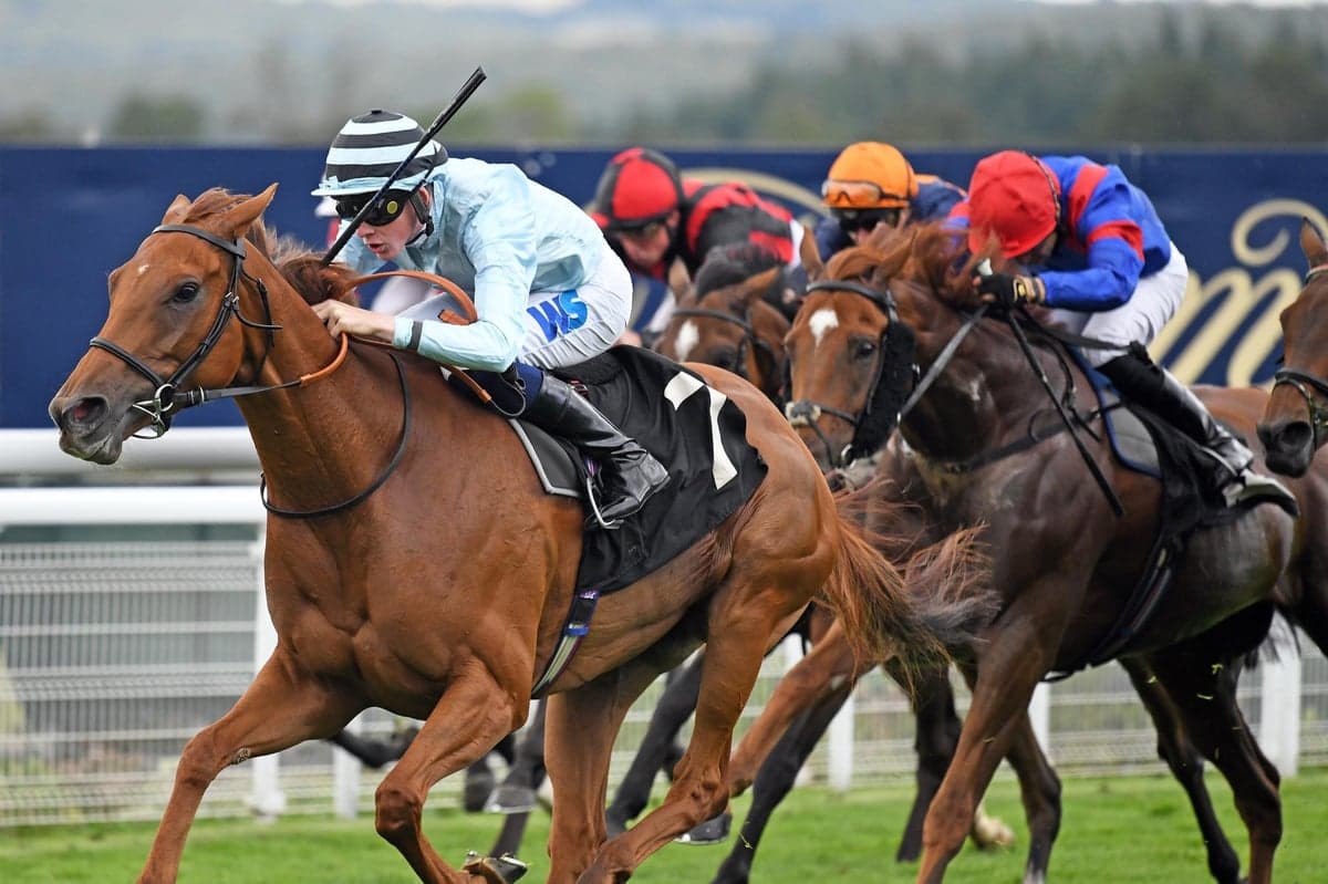 Finishing Straight LED