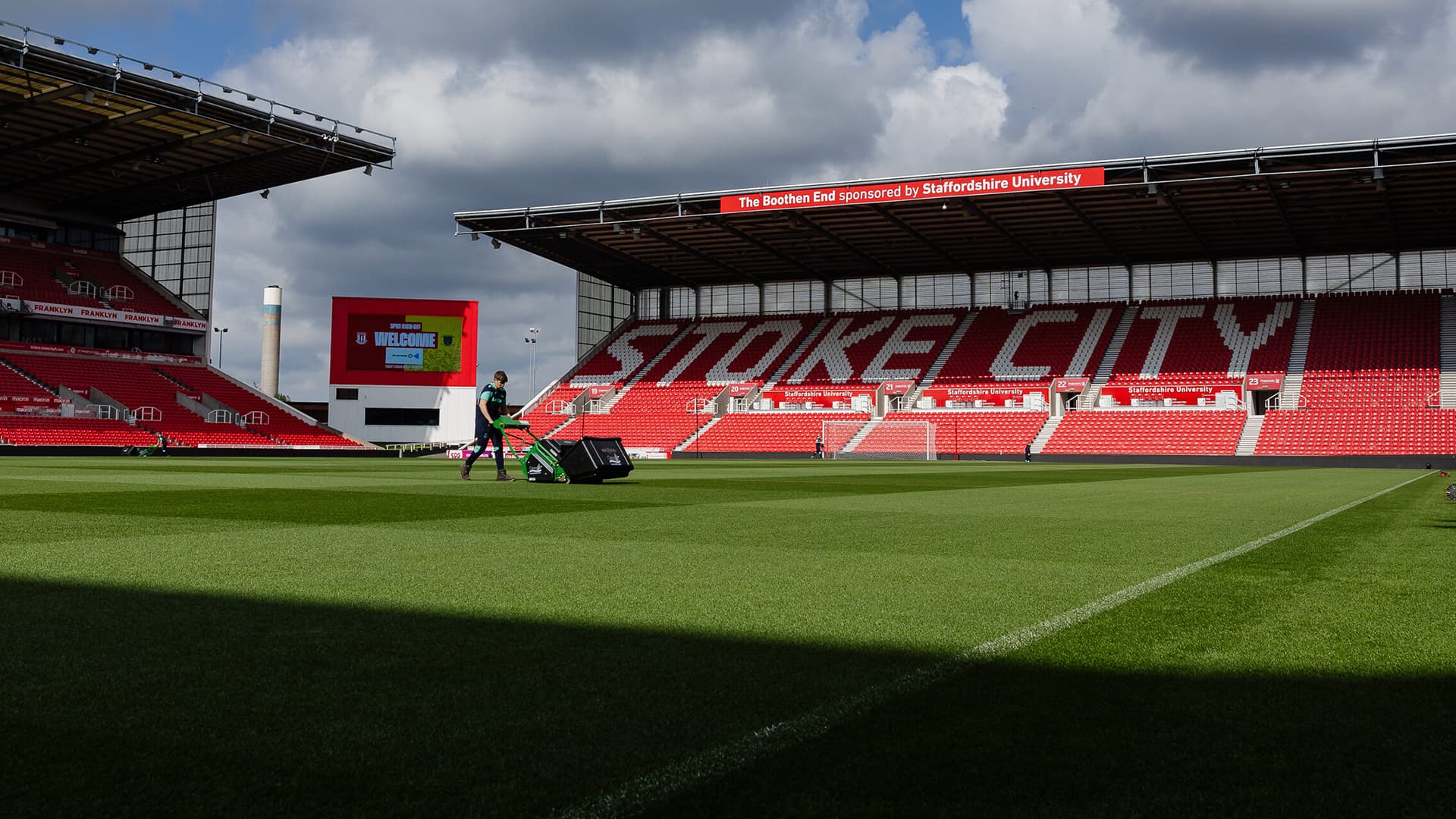 Consultancy, LED Operations & Content