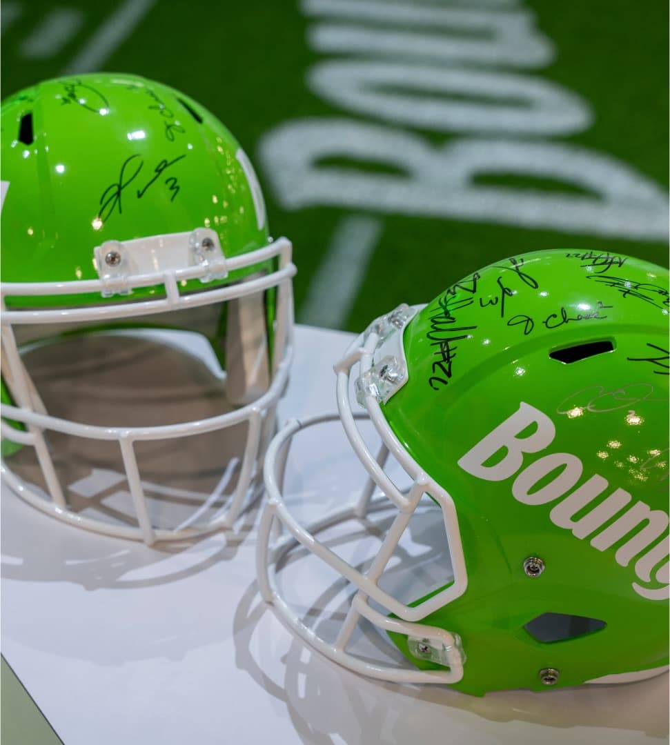 Bounty The House Of Wingman - Image 18