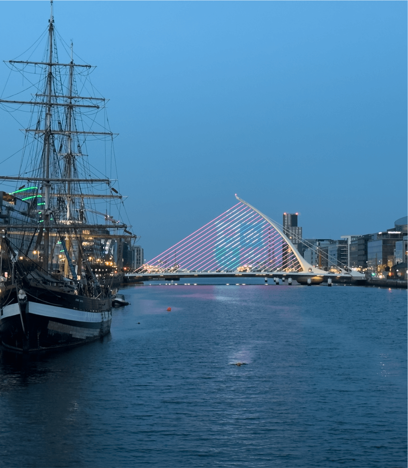 British & Irish Lions Rugby Fan Experience - Image 5