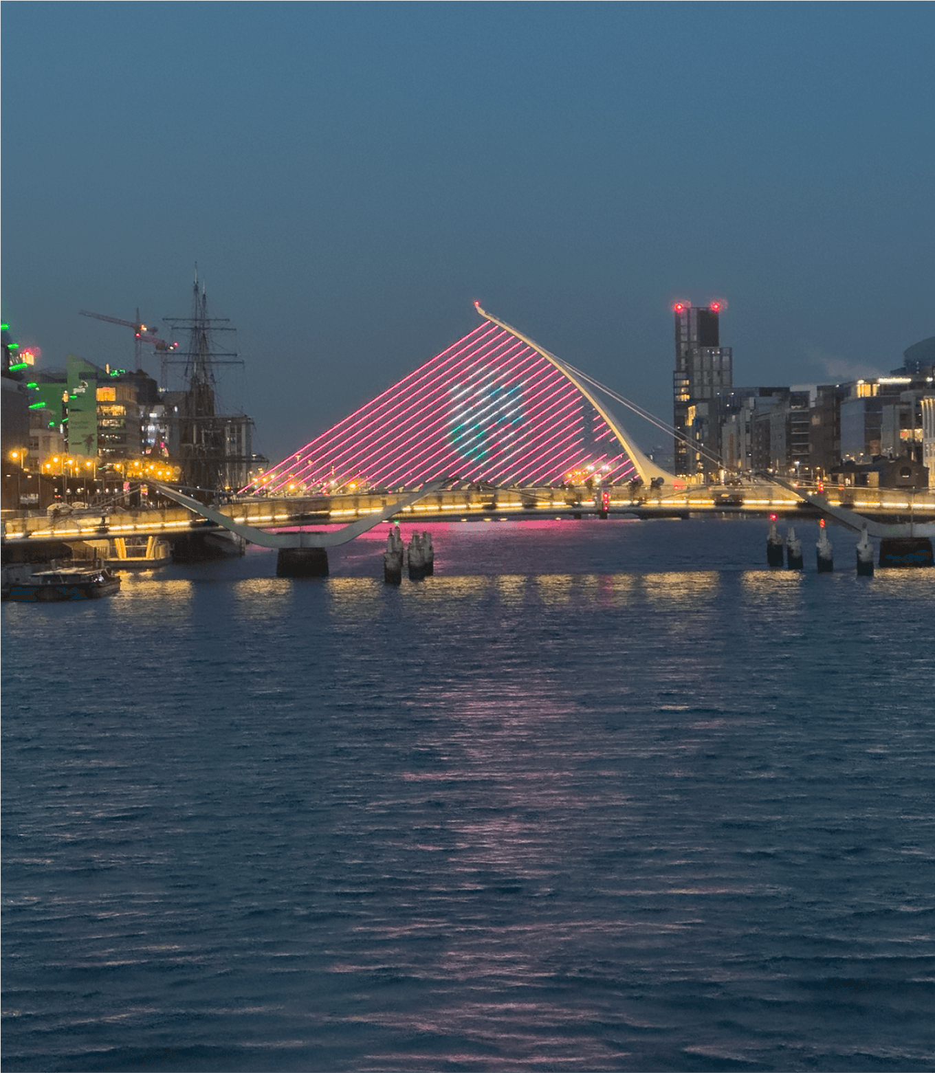 British & Irish Lions Rugby Fan Experience - Image 4